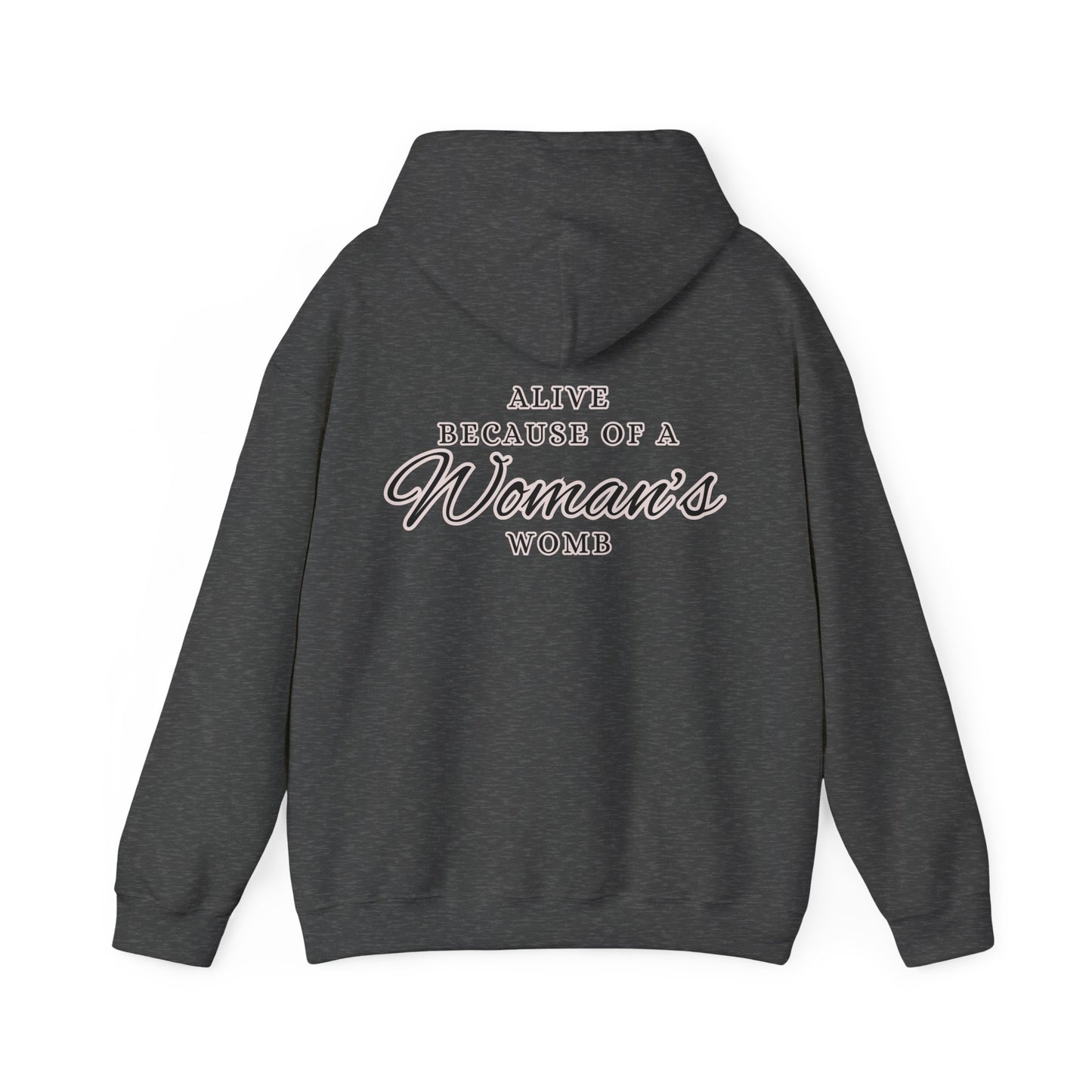 ALIVE BECAUSE of a WOMAN Hooded Sweatshirt